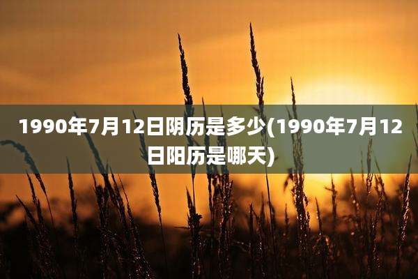 1990年7月12日阴历是多少(1990年7月12日阳历是哪天)