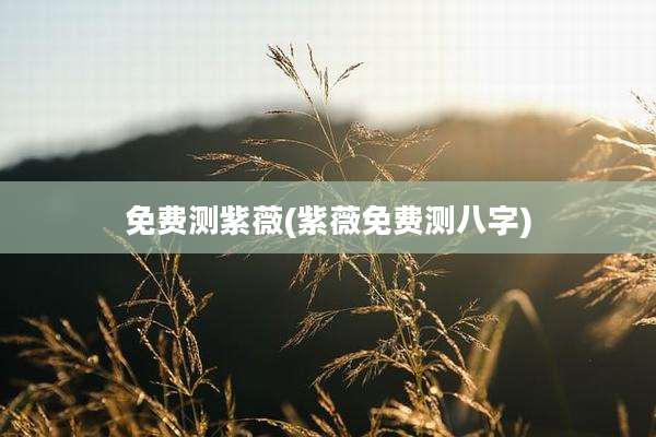 免费测紫薇(紫薇免费测八字)