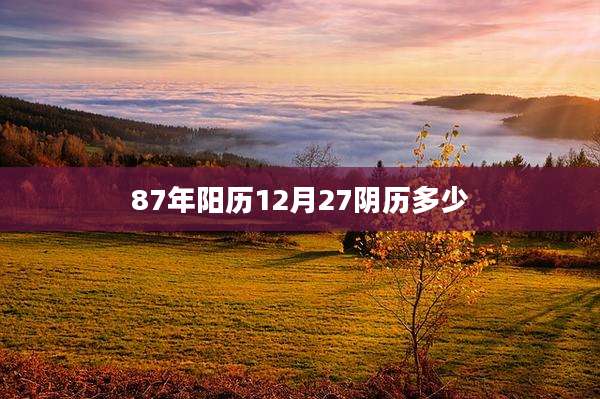 87年阳历12月27阴历多少