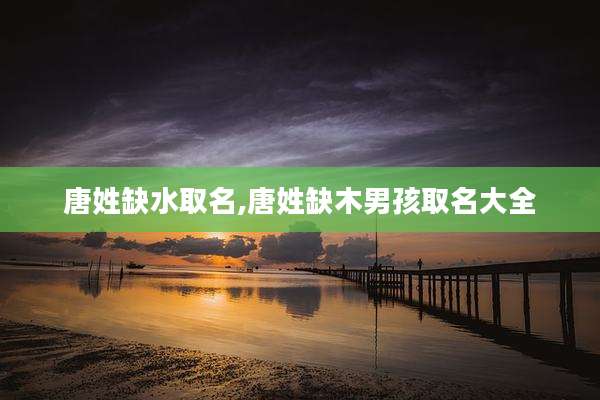 唐姓缺水取名,唐姓缺木男孩取名大全