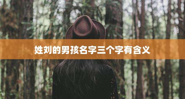 姓刘的男孩名字三个字有含义