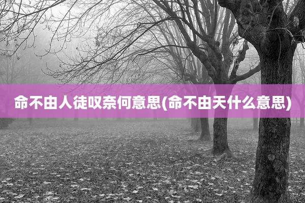 命不由人徒叹奈何意思(命不由天什么意思)