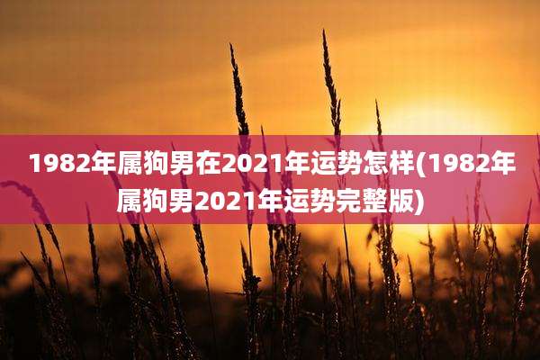 1982年属狗男在2021年运势怎样(1982年属狗男2021年运势完整版)