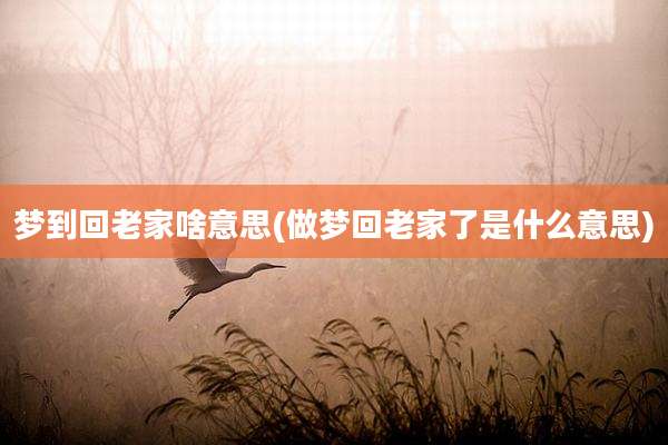 梦到回老家啥意思(做梦回老家了是什么意思)