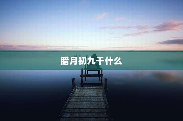 腊月初九干什么