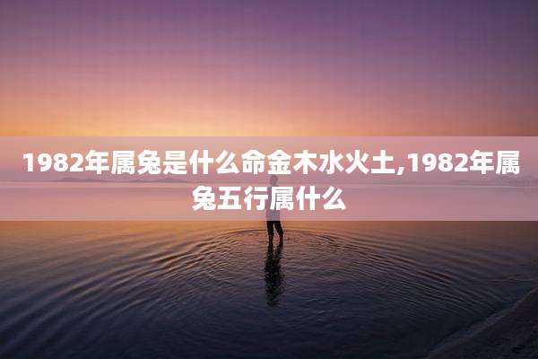 1982年属兔是什么命金木水火土,1982年属兔五行属什么
