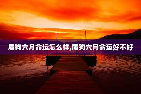 属狗六月命运怎么样,属狗六月命运好不好