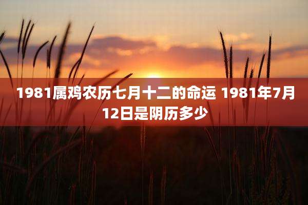 1981属鸡农历七月十二的命运 1981年7月12日是阴历多少