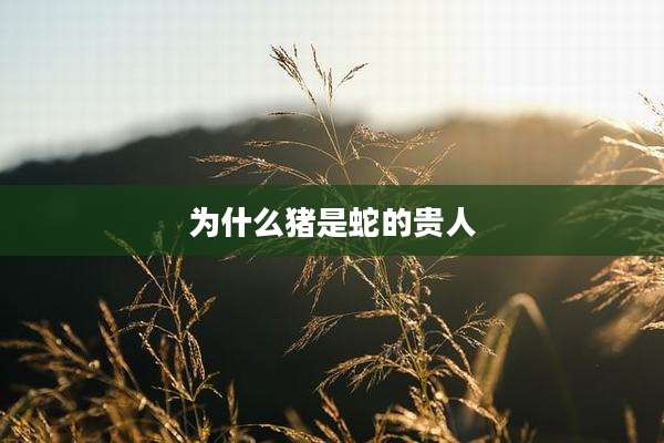 为什么猪是蛇的贵人
