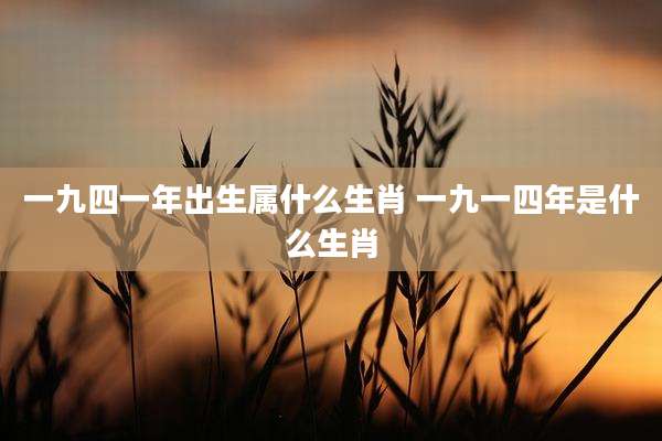 一九四一年出生属什么生肖 一九一四年是什么生肖