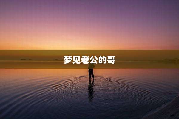 梦见老公的哥
