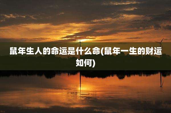 鼠年生人的命运是什么命(鼠年一生的财运如何)