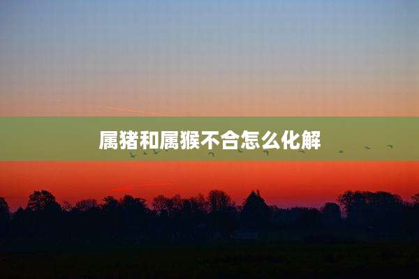 属猪和属猴不合怎么化解