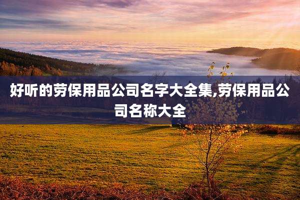 好听的劳保用品公司名字大全集,劳保用品公司名称大全