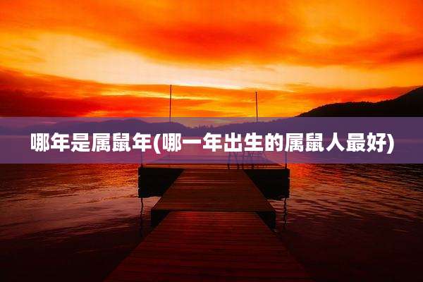 哪年是属鼠年(哪一年出生的属鼠人最好)