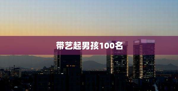 带艺起男孩100名