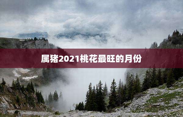 属猪2021桃花最旺的月份