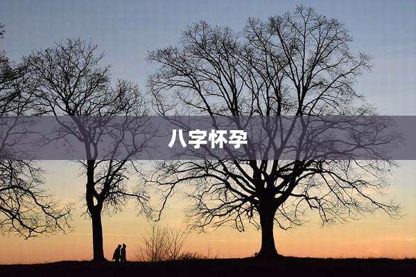 八字怀孕