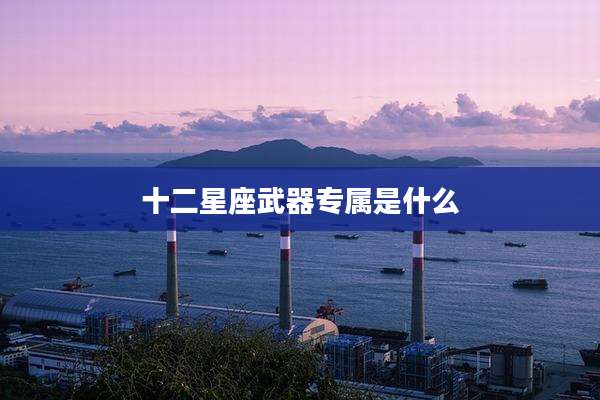 十二星座武器专属是什么