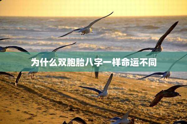 为什么双胞胎八字一样命运不同