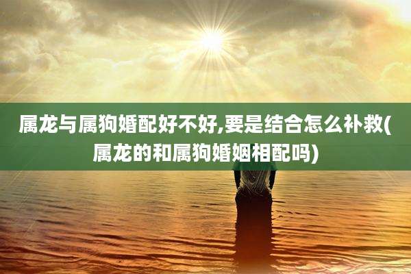 属龙与属狗婚配好不好,要是结合怎么补救(属龙的和属狗婚姻相配吗)