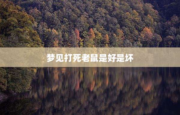 梦见打死老鼠是好是坏