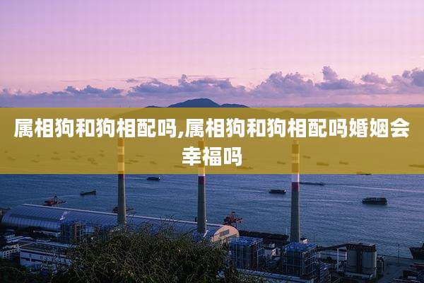 属相狗和狗相配吗,属相狗和狗相配吗婚姻会幸福吗