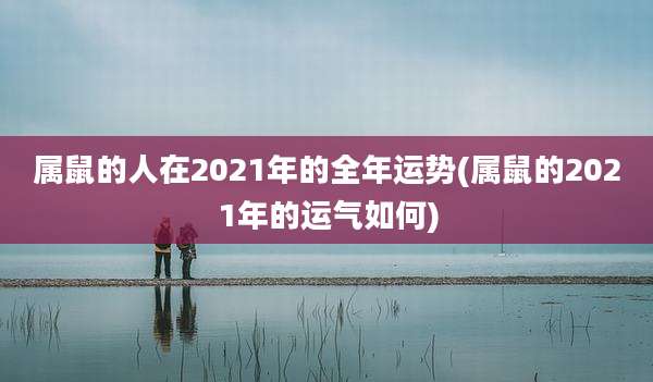 属鼠的人在2021年的全年运势(属鼠的2021年的运气如何)