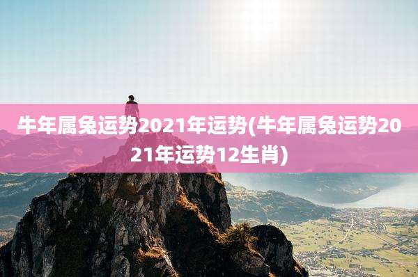 牛年属兔运势2021年运势(牛年属兔运势2021年运势12生肖)