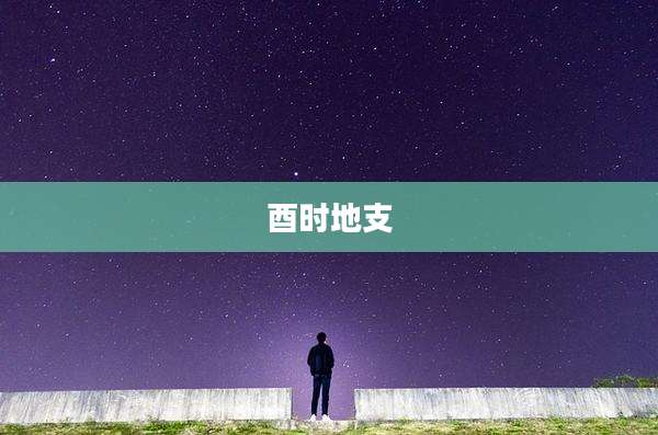 酉时地支