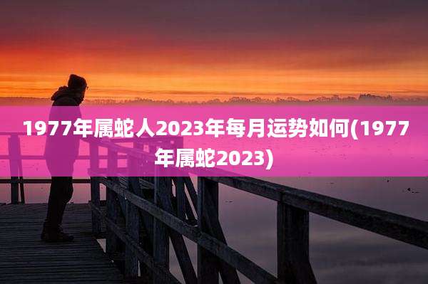 1977年属蛇人2023年每月运势如何(1977年属蛇2023)