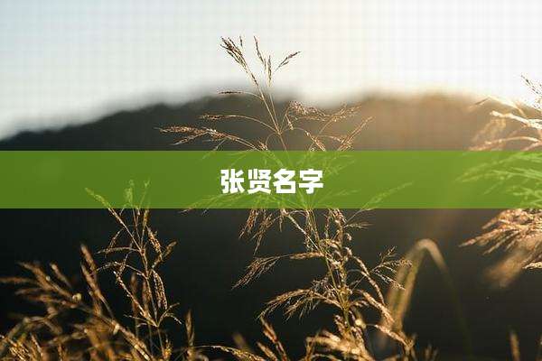 张贤名字