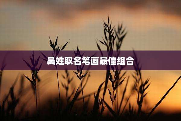 吴姓取名笔画最佳组合