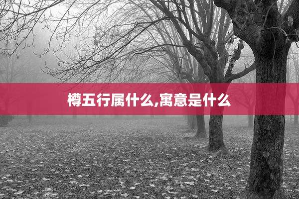樽五行属什么,寓意是什么