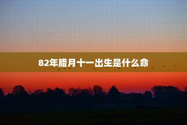 82年腊月十一出生是什么命