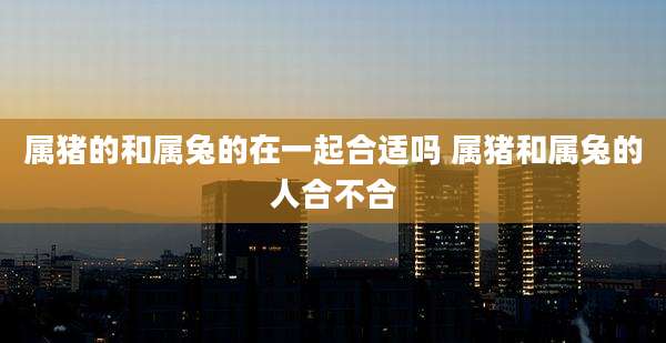 属猪的和属兔的在一起合适吗 属猪和属兔的人合不合
