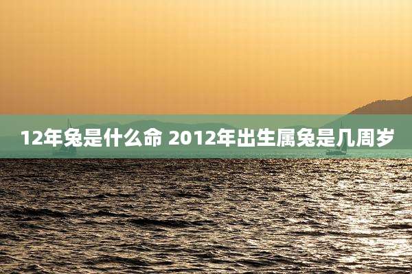 12年兔是什么命 2012年出生属兔是几周岁