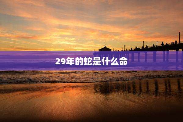 29年的蛇是什么命