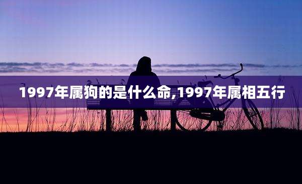 1997年属狗的是什么命,1997年属相五行