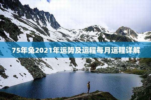 75年兔2021年运势及运程每月运程详解