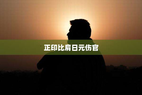 正印比肩日元伤官
