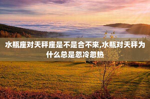 水瓶座对天秤座是不是合不来,水瓶对天秤为什么总是忽冷忽热