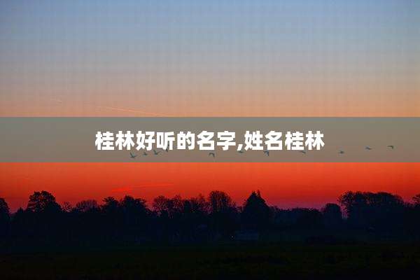 桂林好听的名字,姓名桂林