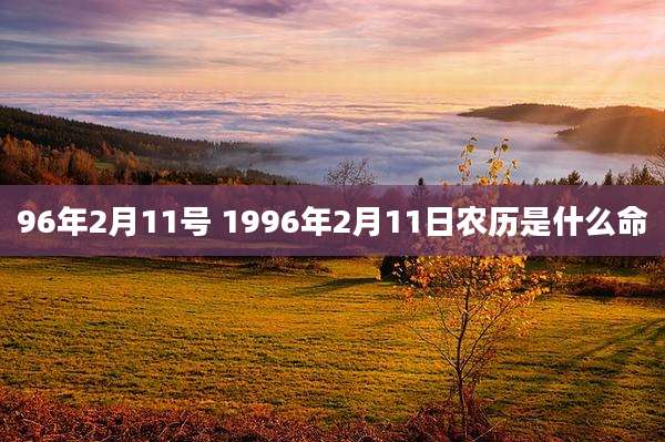 96年2月11号 1996年2月11日农历是什么命