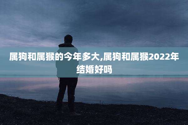 属狗和属猴的今年多大,属狗和属猴2022年结婚好吗