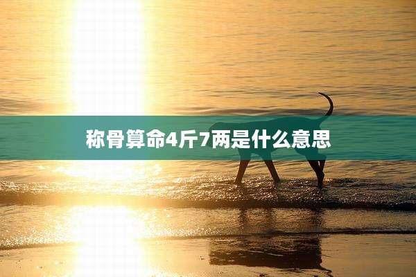 称骨算命4斤7两是什么意思