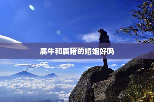 属牛和属猪的婚姻好吗