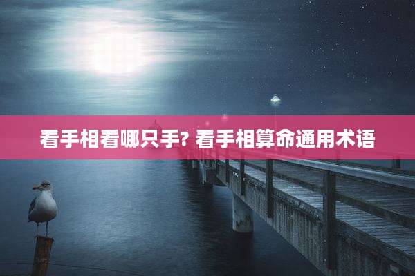 看手相看哪只手? 看手相算命通用术语