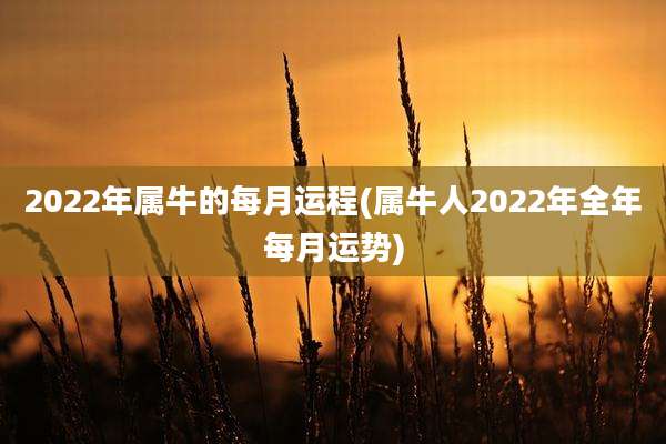 2022年属牛的每月运程(属牛人2022年全年每月运势)