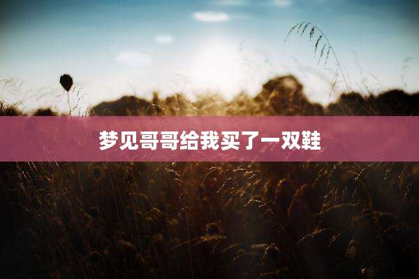 梦见哥哥给我买了一双鞋